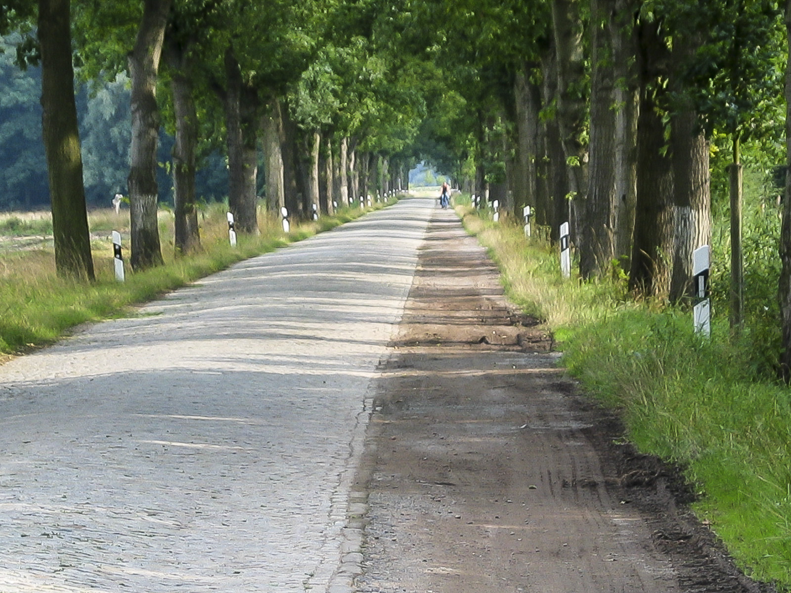 Weg im Münsterland