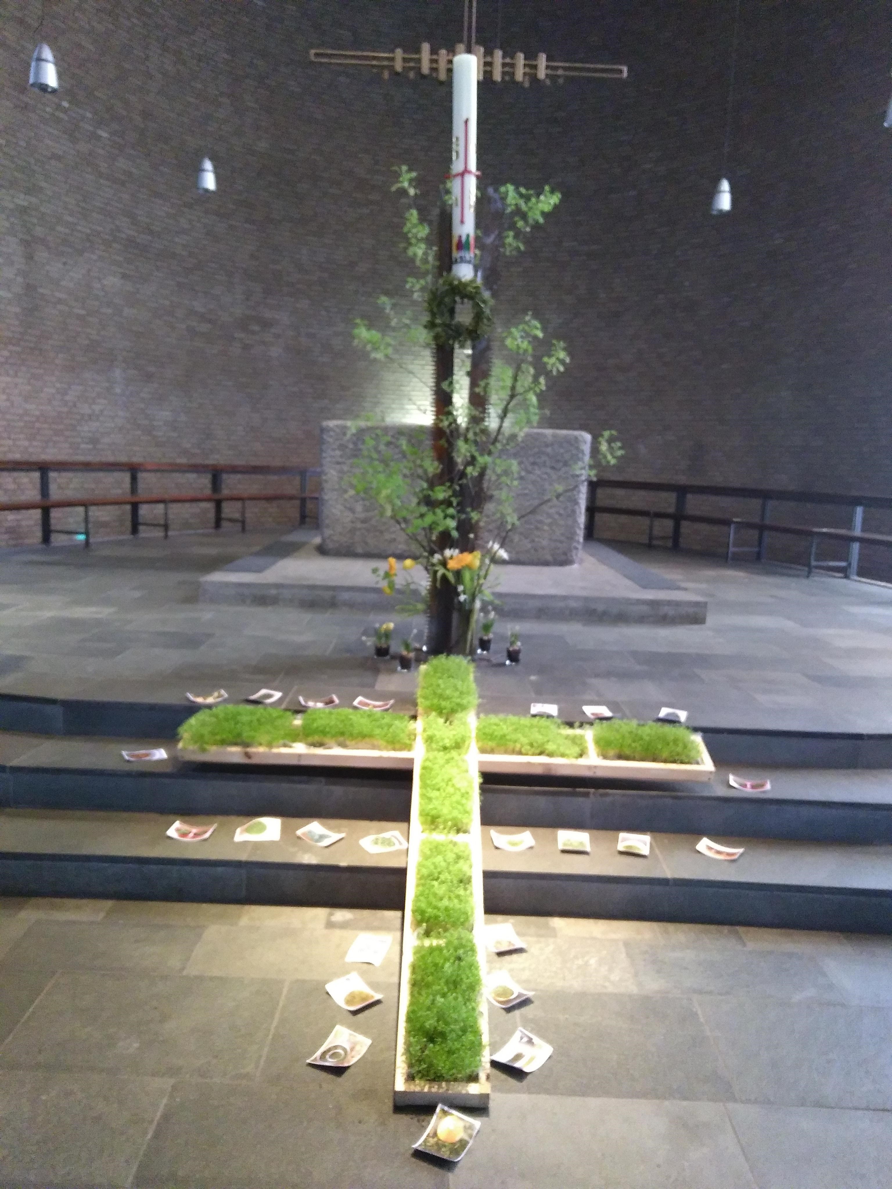 Ein Kreuz liegt seit Karsamstag in der Margaretakirche mit Muttererde und Kressesamen eingesät.  