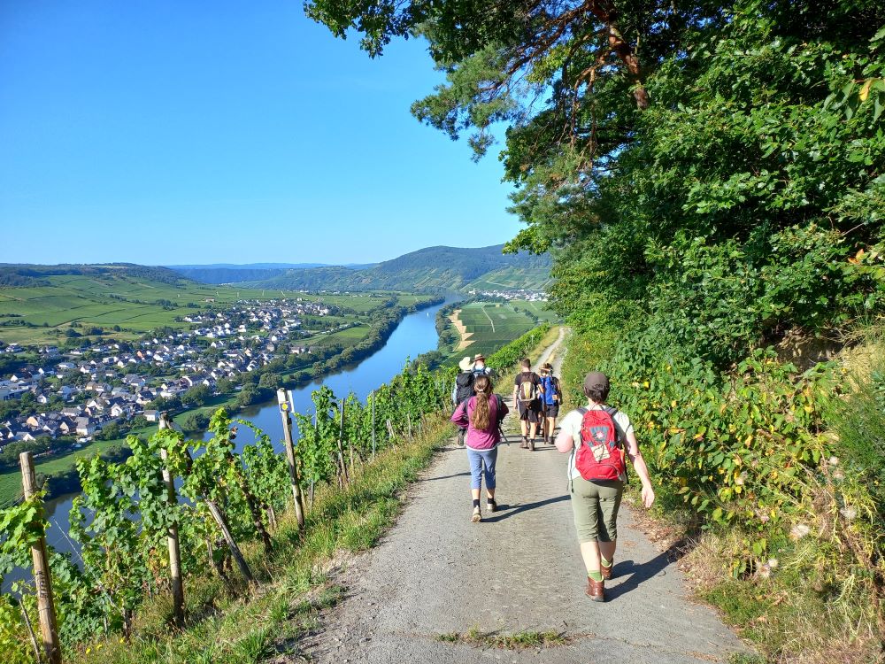 Auf dem Pilgerweg