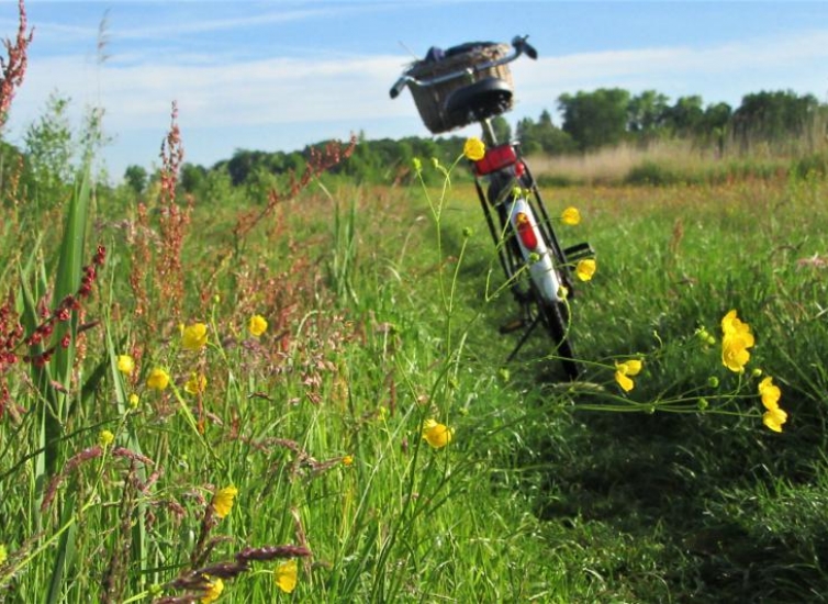 bicycle-4232963_by_fotorieth_pixabay_pfarrbriefservice