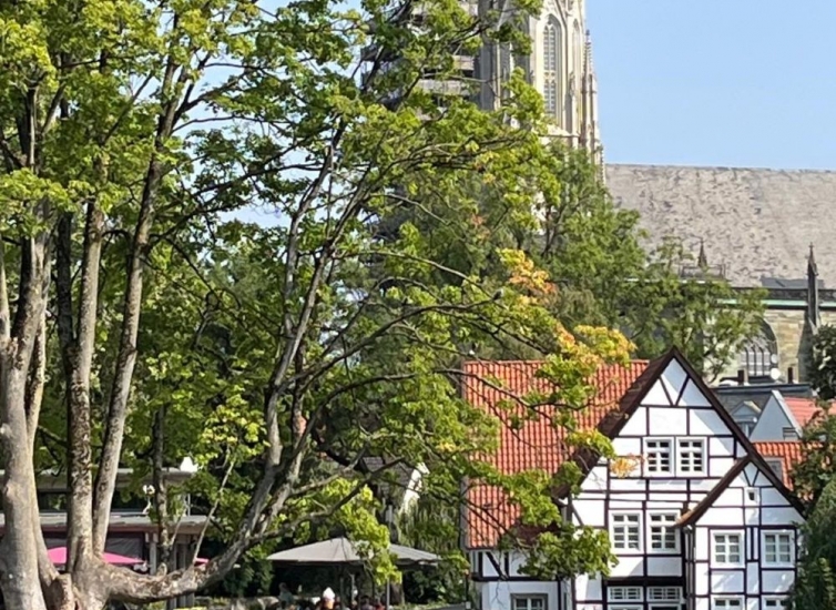 Blick auf die Soenter Altstadt
