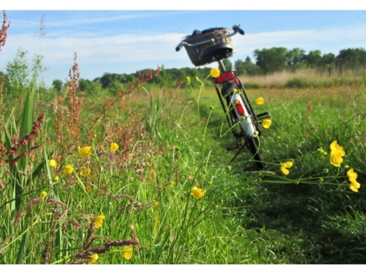 Besinnliche Radtouren