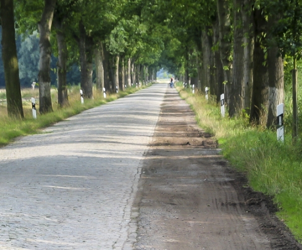 Weg im Münsterland