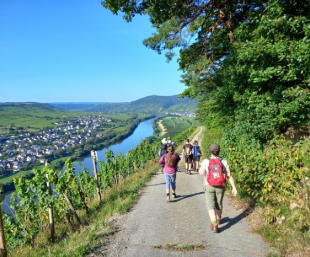Auf dem Pilgerweg